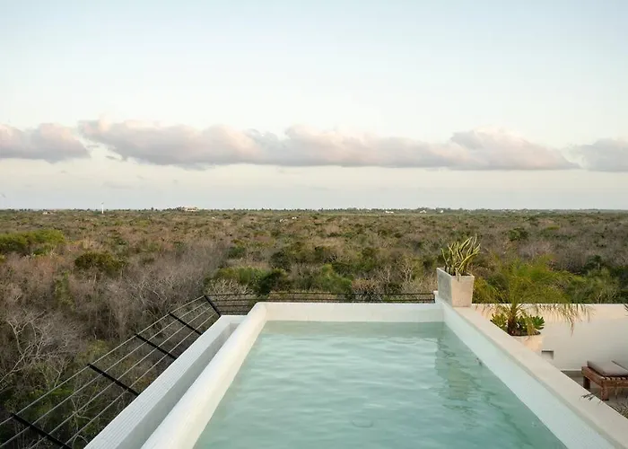 New 2 Bed Bath - Apartment Tulum